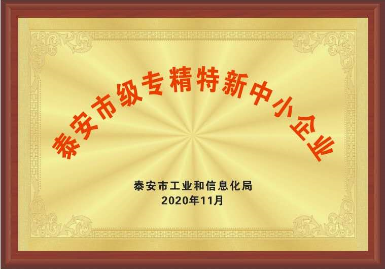 山東嘉云集團(tuán)榮獲專精特新中小企業(yè)